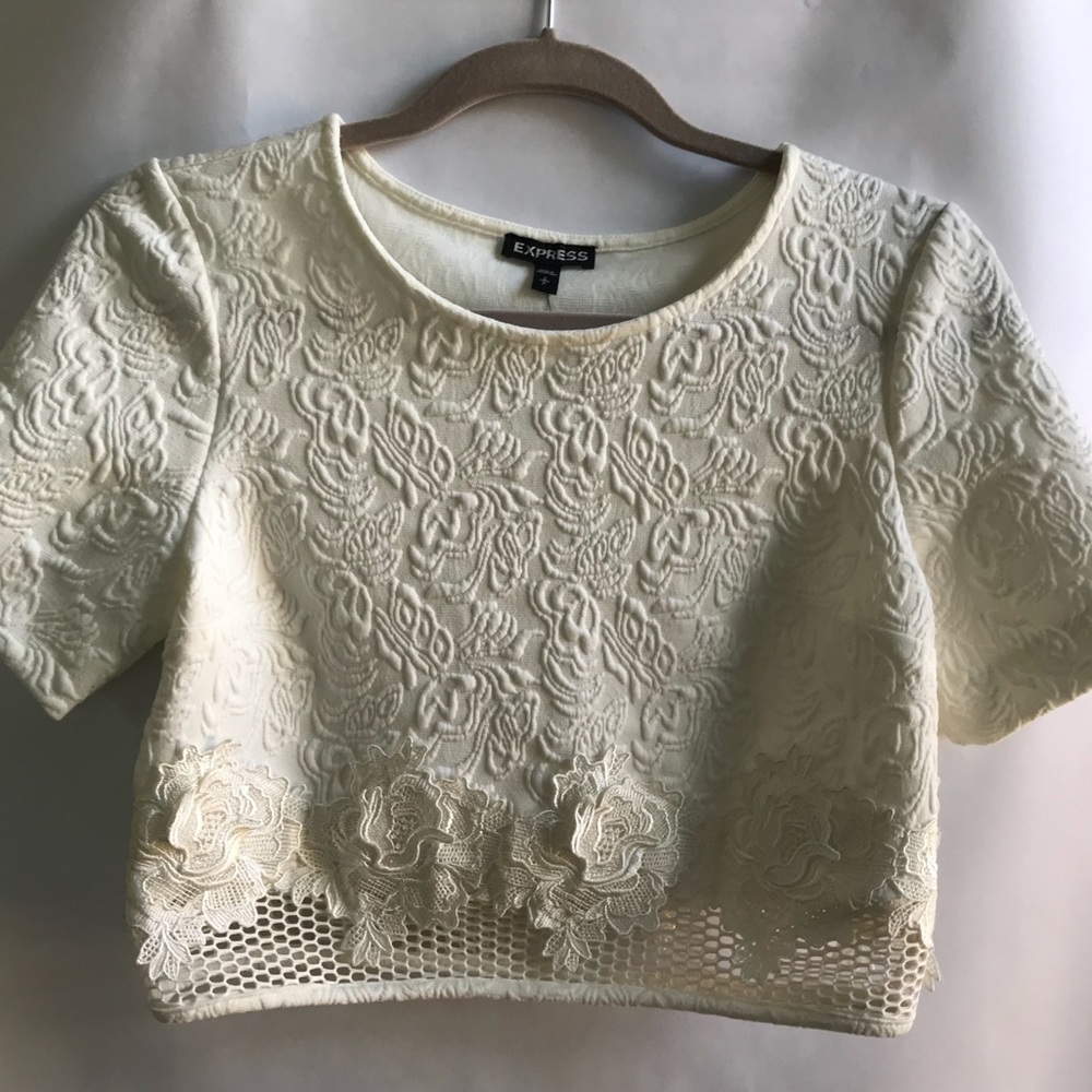 Express Cream / White Crop Top